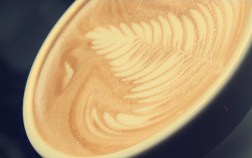 Premium Decaf - medium to dark roast - West End Coffee Roasters