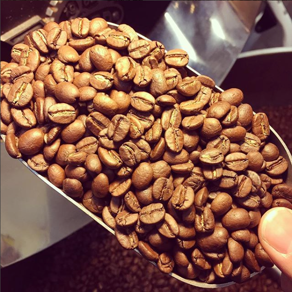 Guatemala - medium roast - West End Coffee Roasters