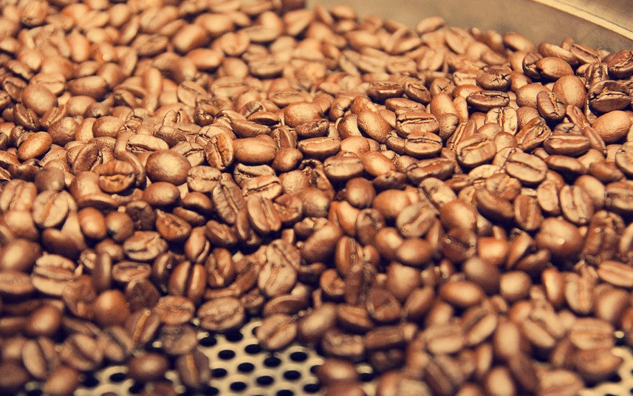 Colombia Supremo - medium roast - West End Coffee Roasters