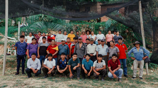 Bolivia Cooperativa San Juan - medium roast - West End Coffee Roasters