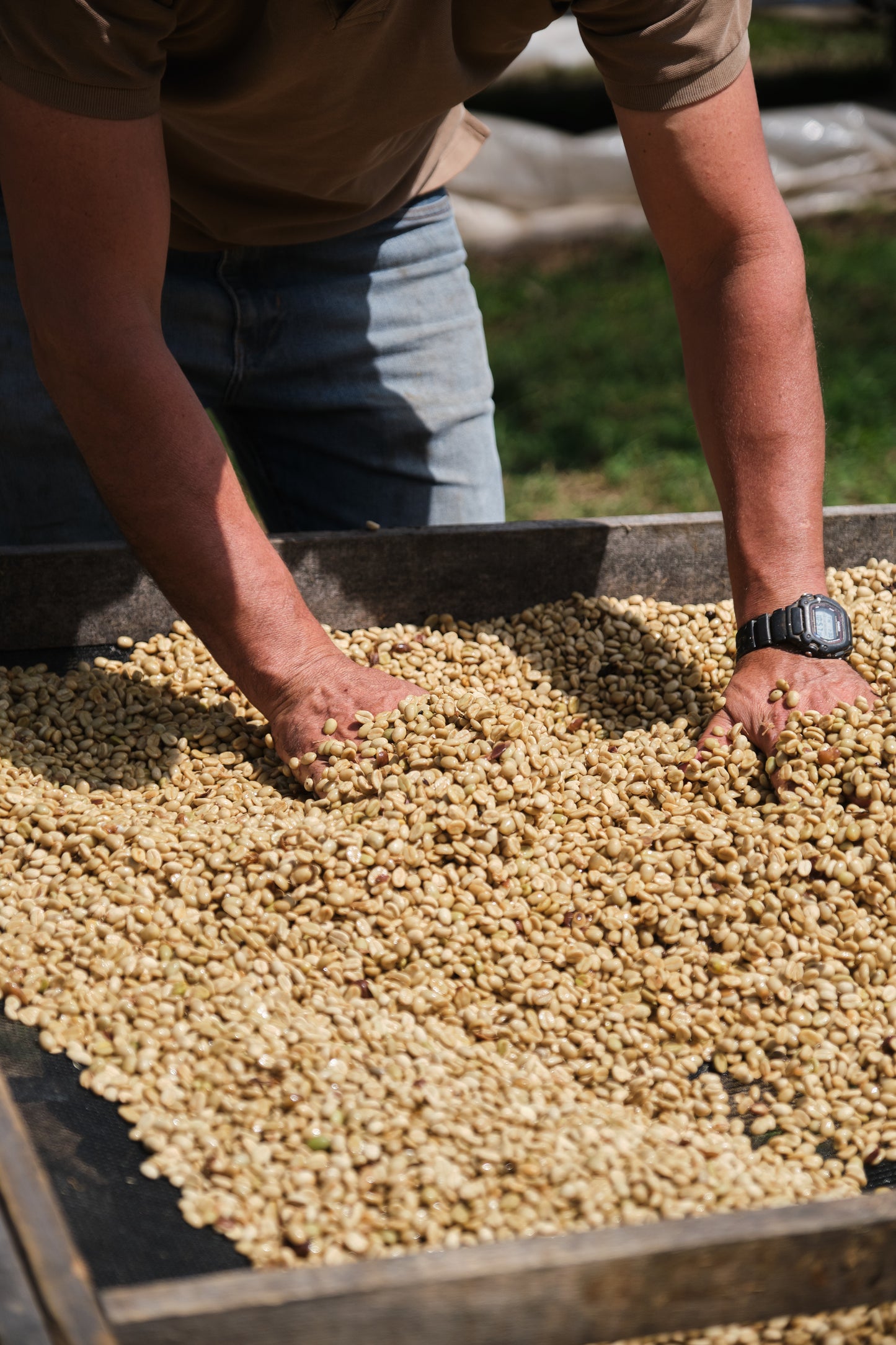 Costa Rica Cerro San Luis Micromill - medium roast