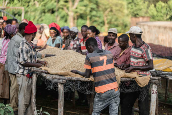 Ethiopia Chelchele - medium roast - West End Coffee Roasters