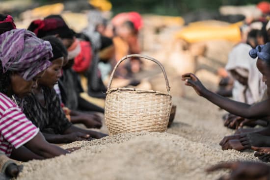 Ethiopia Chelchele - medium roast - West End Coffee Roasters