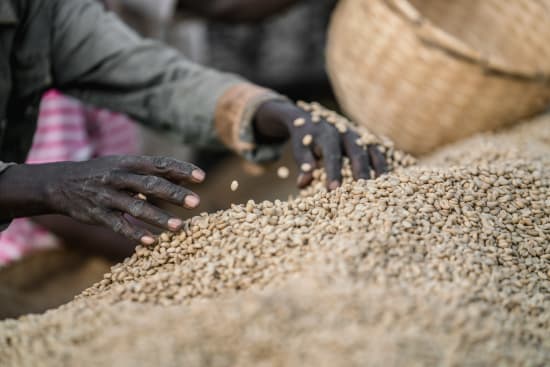 Ethiopia Chelchele - medium roast - West End Coffee Roasters