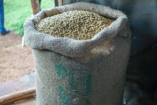 Kenya Kagumo PB Microlot - medium roast - West End Coffee Roasters