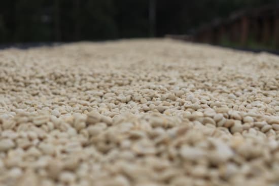 Kenya Kagumo PB Microlot - medium roast - West End Coffee Roasters