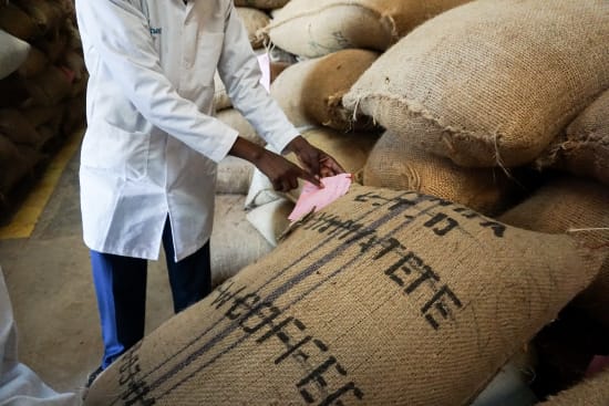 Kenya Kagumo PB Microlot - medium roast - West End Coffee Roasters